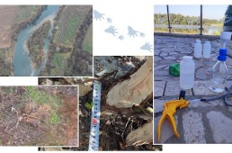 Return or Invasion? Study of the distribution and ecology of the beaver (Castor fiber) in Bulgaria after more than 150 years of absence
