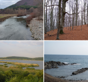 Distributed Research Infrastructure “Bulgarian Network for Long-Term Ecosystem Research”
